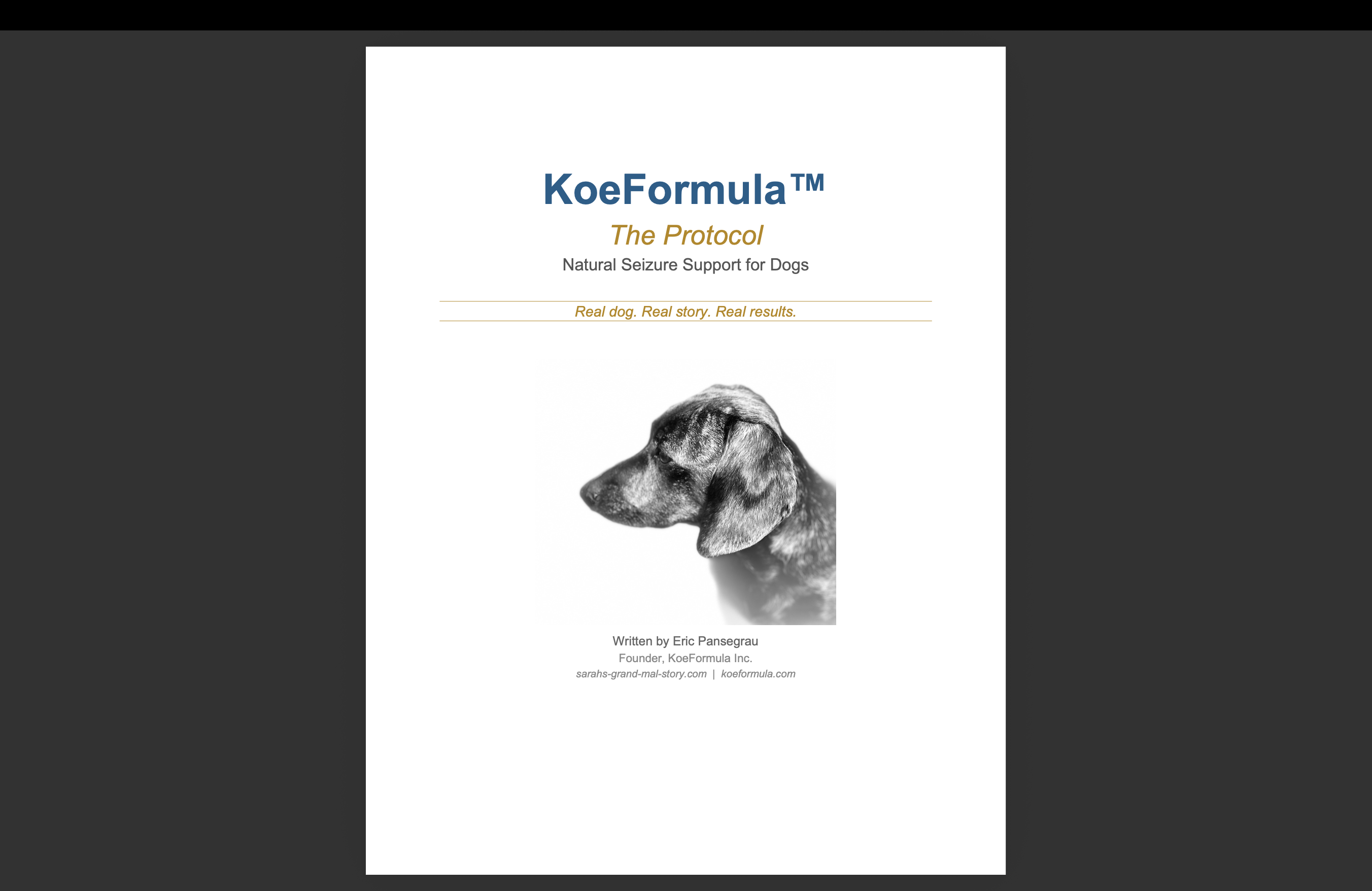 KoeFormula: The Protocol eBook cover